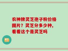 农神牌灵芝孢子粉价格图片？灵芝分多少种,看看这个是灵芝吗