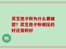 灵芝孢子粉为什么要破壁？灵芝孢子粉碾压的好还是粉好