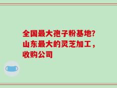 全国最大孢子粉基地？山东最大的灵芝加工，收购公司