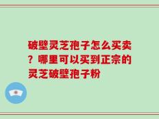 破壁灵芝孢子怎么买卖？哪里可以买到正宗的灵芝破壁孢子粉