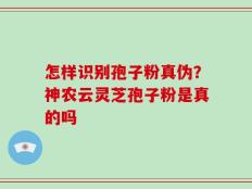 怎样识别孢子粉真伪？神农云灵芝孢子粉是真的吗