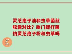 灵芝孢子油和虫草菌丝胶囊对比？幽门螺杆菌怕灵芝孢子粉和虫草吗