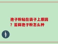 孢子粉粘在袋子上原因？苔藓孢子粉怎么种