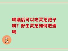 喝酒后可以吃灵芝孢子粉？野生灵芝如何泡酒喝