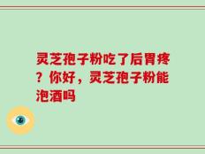 灵芝孢子粉吃了后胃疼？你好，灵芝孢子粉能泡酒吗