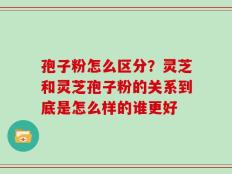 孢子粉怎么区分？灵芝和灵芝孢子粉的关系到底是怎么样的谁更好