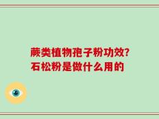 蕨类植物孢子粉功效？石松粉是做什么用的