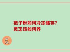 孢子粉如何冷冻储存？灵芝该如何养