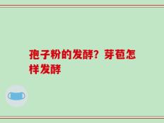 孢子粉的发酵？芽苞怎样发酵