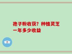 孢子粉收获？种植灵芝一年多少收益