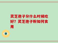 灵芝孢子分什么时候吃好？灵芝孢子粉如何食用