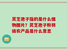 灵芝孢子指的是什么植物图片？灵芝孢子粉初级农产品是什么意思