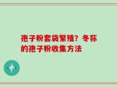 孢子粉套袋繁殖？冬荪的孢子粉收集方法