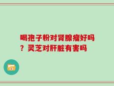 喝孢子粉对肾腺瘤好吗？灵芝对肝脏有害吗