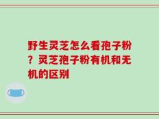 野生灵芝怎么看孢子粉？灵芝孢子粉有机和无机的区别