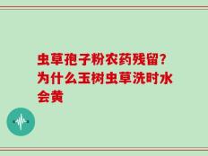 虫草孢子粉农药残留？为什么玉树虫草洗时水会黄