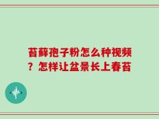 苔藓孢子粉怎么种视频？怎样让盆景长上春苔
