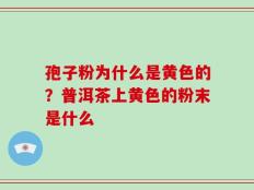 孢子粉为什么是黄色的？普洱茶上黄色的粉末是什么