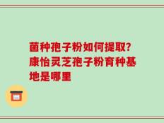 菌种孢子粉如何提取？康怡灵芝孢子粉育种基地是哪里