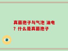 真菌孢子与气泡 油电？什么是真菌孢子