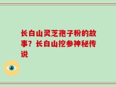长白山灵芝孢子粉的故事？长白山挖参神秘传说