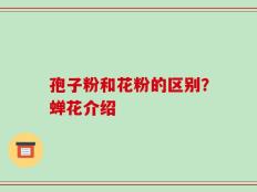 孢子粉和花粉的区别？蝉花介绍