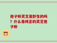 孢子粉灵芝是野生的吗？什么是纯正的灵芝孢子粉