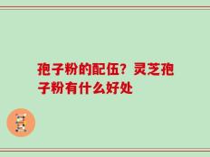 孢子粉的配伍？灵芝孢子粉有什么好处