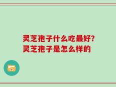 灵芝孢子什么吃最好？灵芝孢子是怎么样的