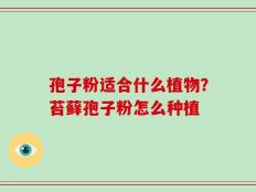 孢子粉适合什么植物？苔藓孢子粉怎么种植