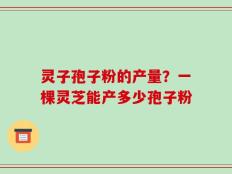 灵子孢子粉的产量？一棵灵芝能产多少孢子粉