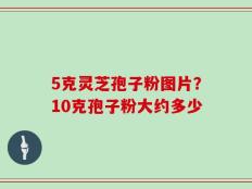 5克灵芝孢子粉图片？10克孢子粉大约多少