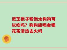 灵芝孢子粉泡水狗狗可以吃吗？狗狗能喝金银花茶清热去火吗