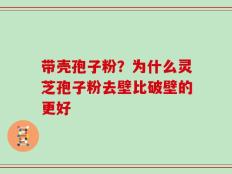 带壳孢子粉？为什么灵芝孢子粉去壁比破壁的更好
