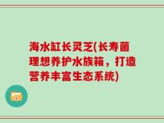 海水缸长灵芝(长寿菌理想养护水族箱，打造营养丰富生态系统)