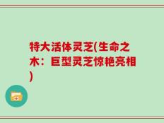 特大活体灵芝(生命之木：巨型灵芝惊艳亮相)
