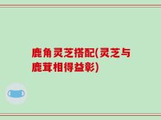 鹿角灵芝搭配(灵芝与鹿茸相得益彰)