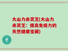 大山力赤灵芝(大山力赤灵芝：提高免疫力的天然健康宝藏)
