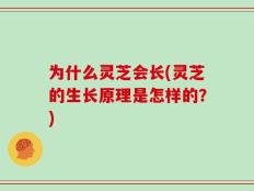 为什么灵芝会长(灵芝的生长原理是怎样的？)