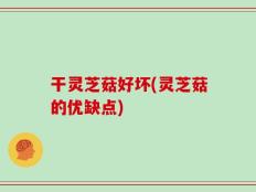 干灵芝菇好坏(灵芝菇的优缺点)