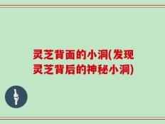 灵芝背面的小洞(发现灵芝背后的神秘小洞)