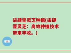 柒肆壹灵芝种植(柒肆壹灵芝：高效种植技术带来丰收。)