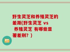 野生灵芝和养殖灵芝的差距(野生灵芝 vs 养殖灵芝 有哪些显著差别？)