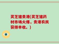 灵芝猪贵港(灵芝猪药材市场火爆，贵港农民获得丰收。)