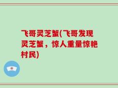 飞哥灵芝蟹(飞哥发现灵芝蟹，惊人重量惊艳村民)