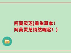 阿莫灵芝(重生草本！阿莫灵芝悄然崛起！)