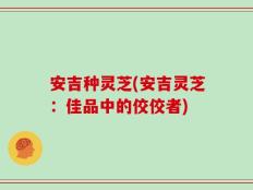 安吉种灵芝(安吉灵芝：佳品中的佼佼者)