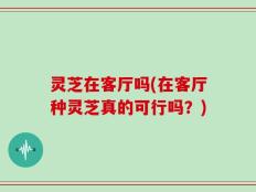 灵芝在客厅吗(在客厅种灵芝真的可行吗？)