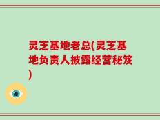 灵芝基地老总(灵芝基地负责人披露经营秘笈)
