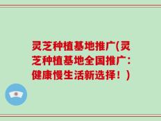 灵芝种植基地推广(灵芝种植基地全国推广：健康慢生活新选择！)